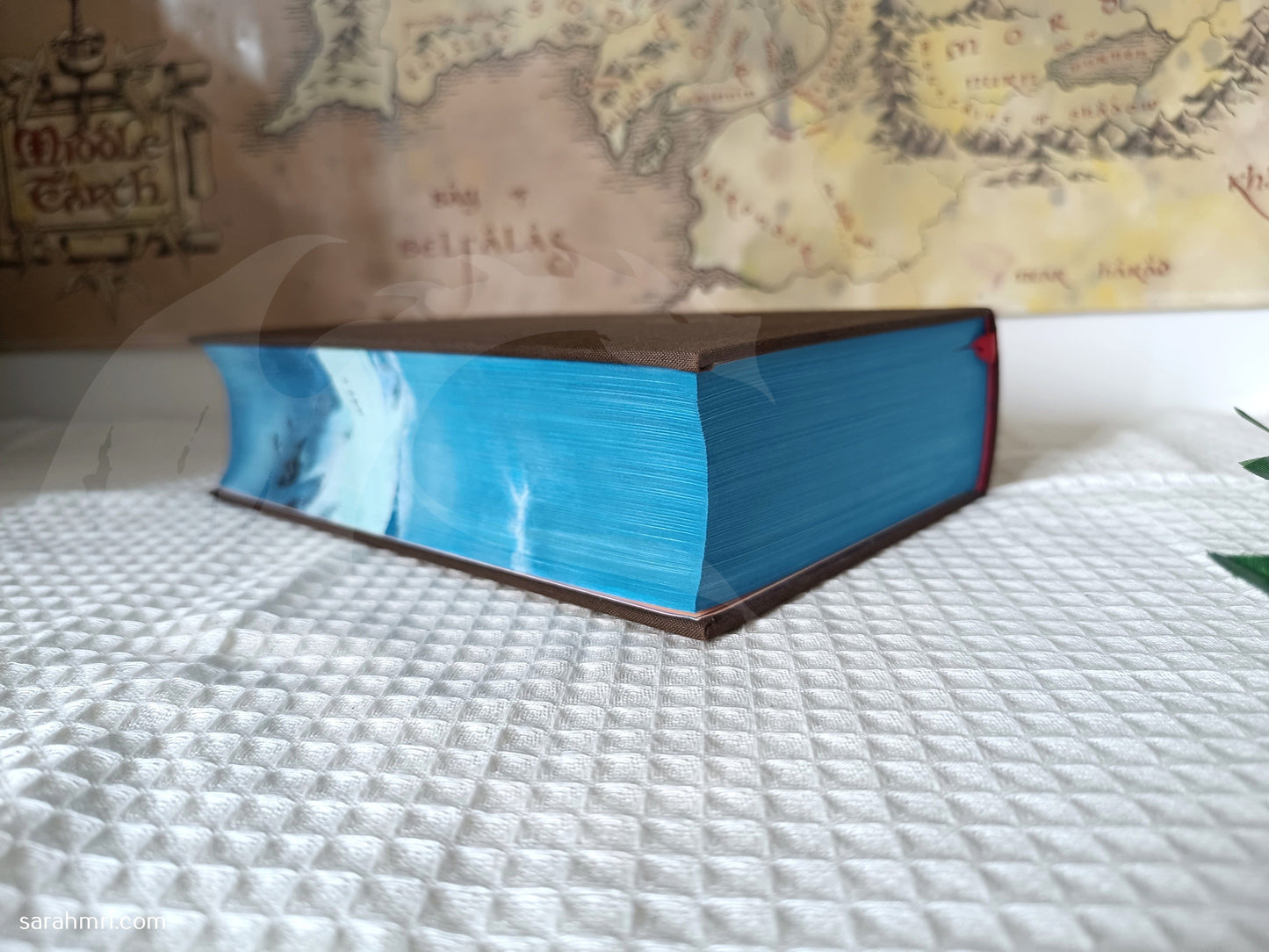 livre peint à la main le seigneur des anneaux