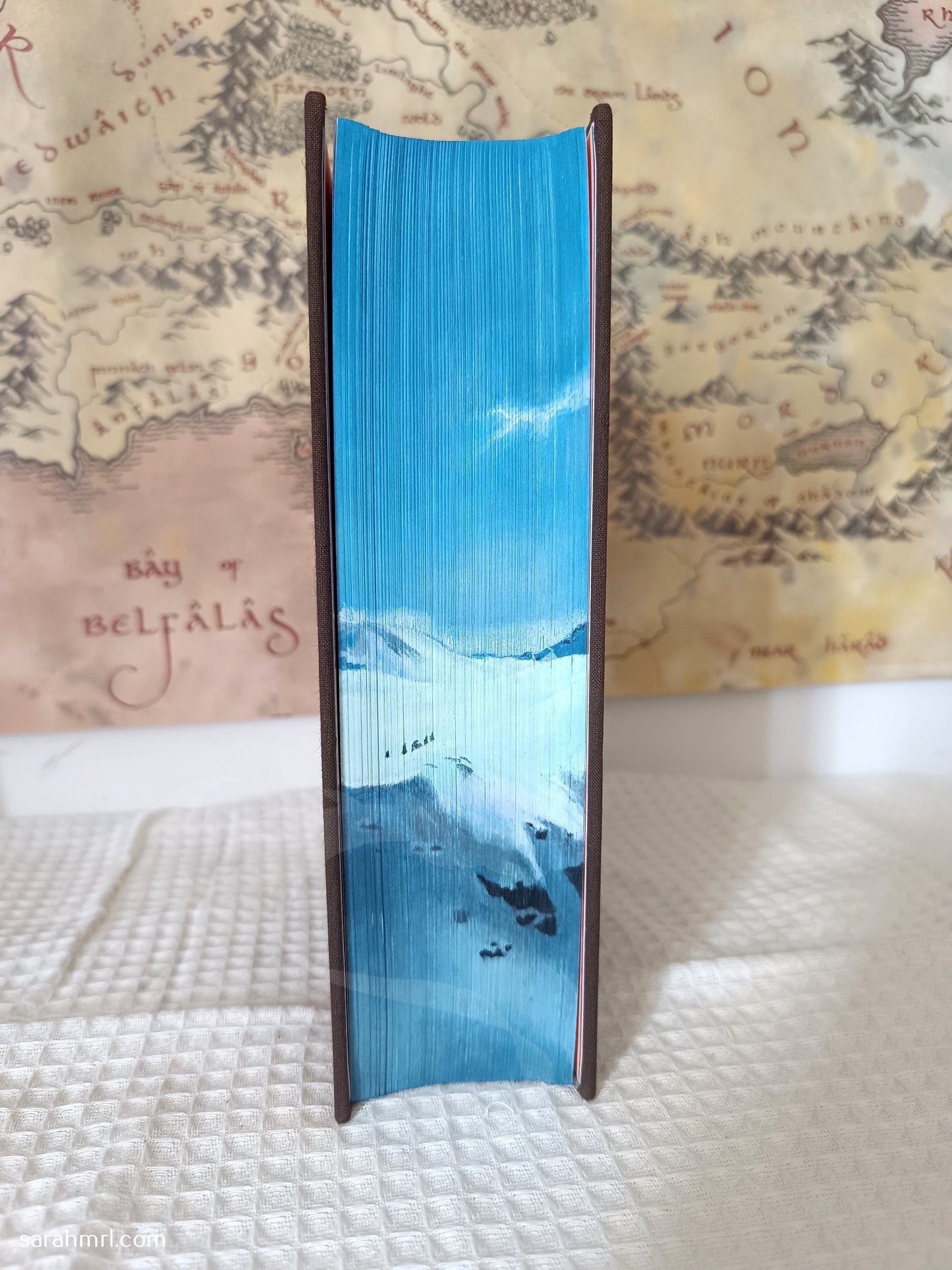 livre peint à la main le seigneur des anneaux