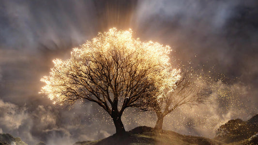 arbres de valinor le seigneur des anneaux