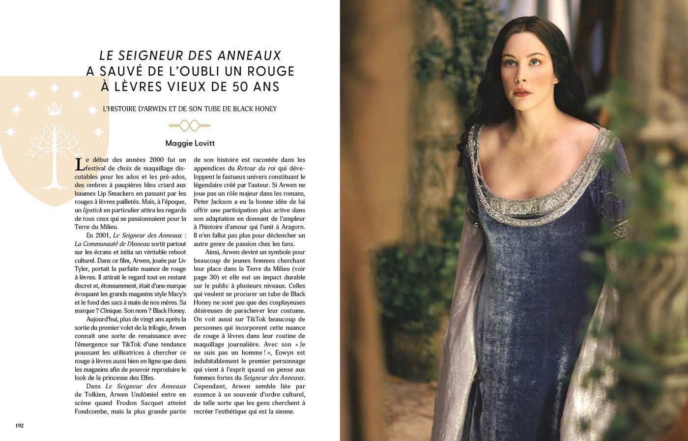 livre le périple de l'anneau