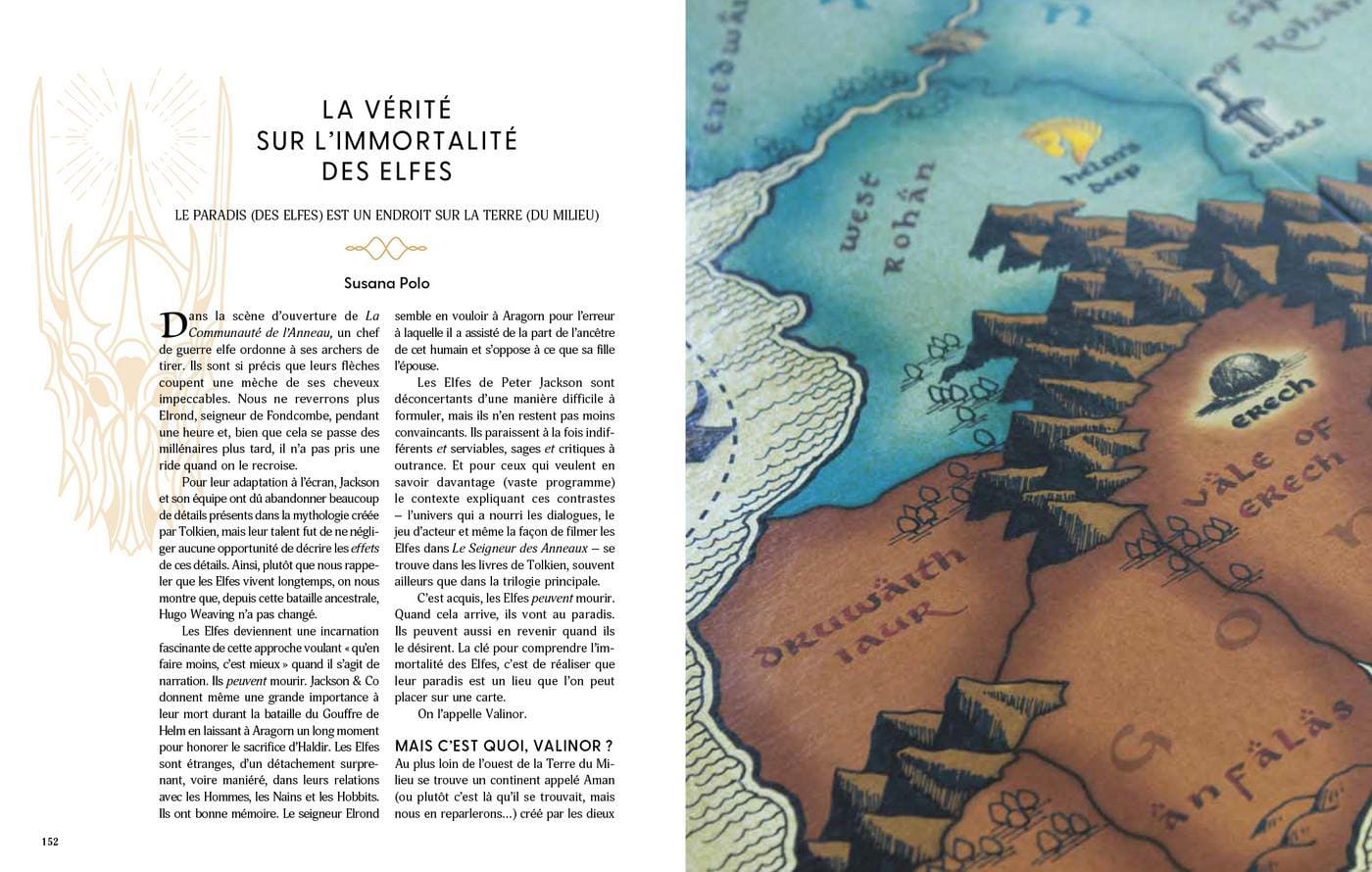 livre le périple de l'anneau