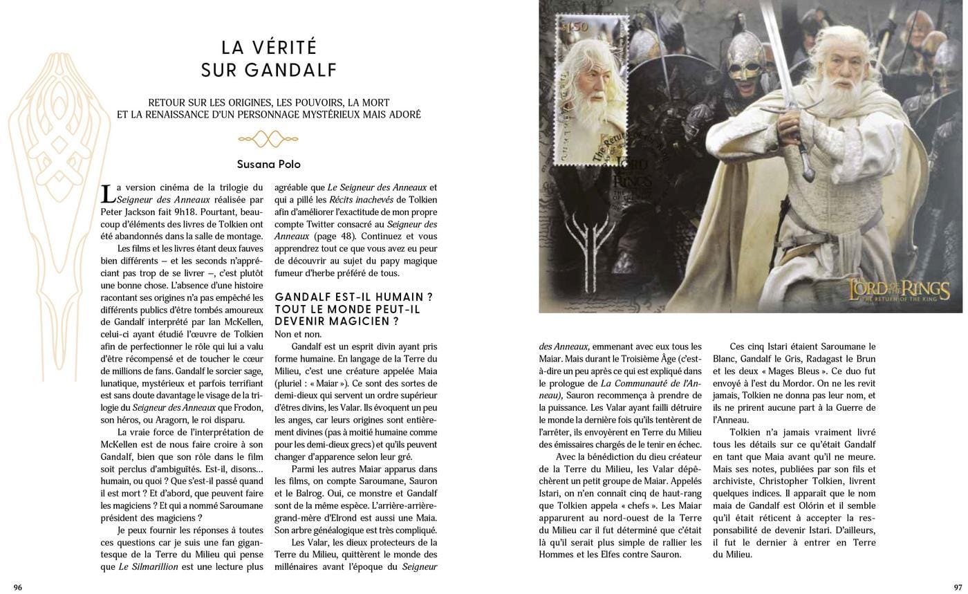 livre le périple de l'anneau