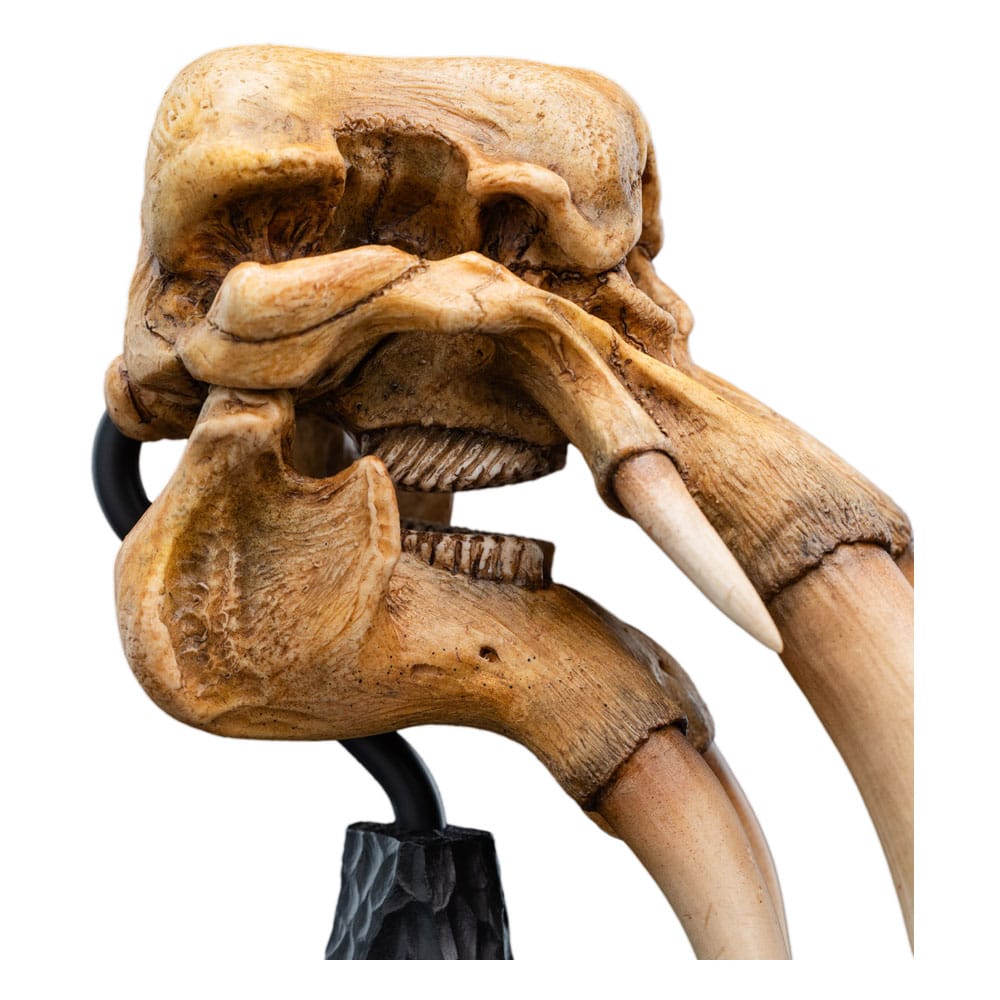 skull of mûmak weta 2025