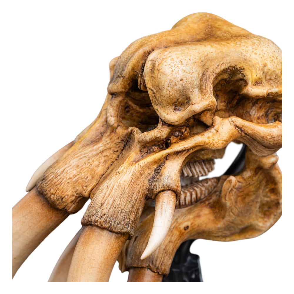 skull of mûmak weta 2025